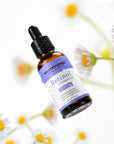 natural retinol serum-skincare cosmetics retinol serum-retinol vitamin a serum-best organic retinol serum-high retinol serum