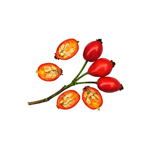 ROSA MOSCHATA SEED OIL