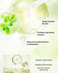 Neutriherbs® Hyaluronic Acid Serum + 0.30 mm Derma Roller