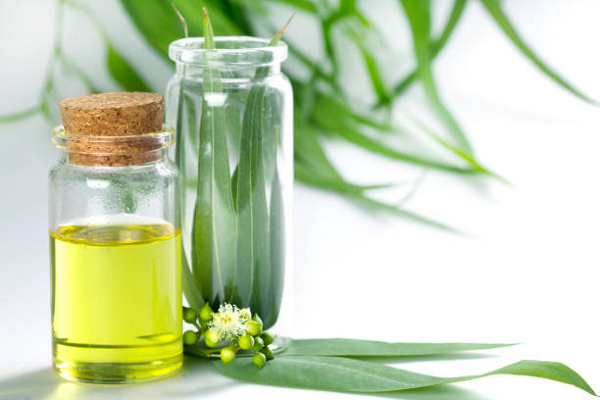 Tea Tree Oil For Clear Skin: Effective Whitening And Acne Solutions ...
