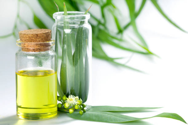 Tea Tree Oil For Clear Skin: Effective Whitening And Acne Solutions