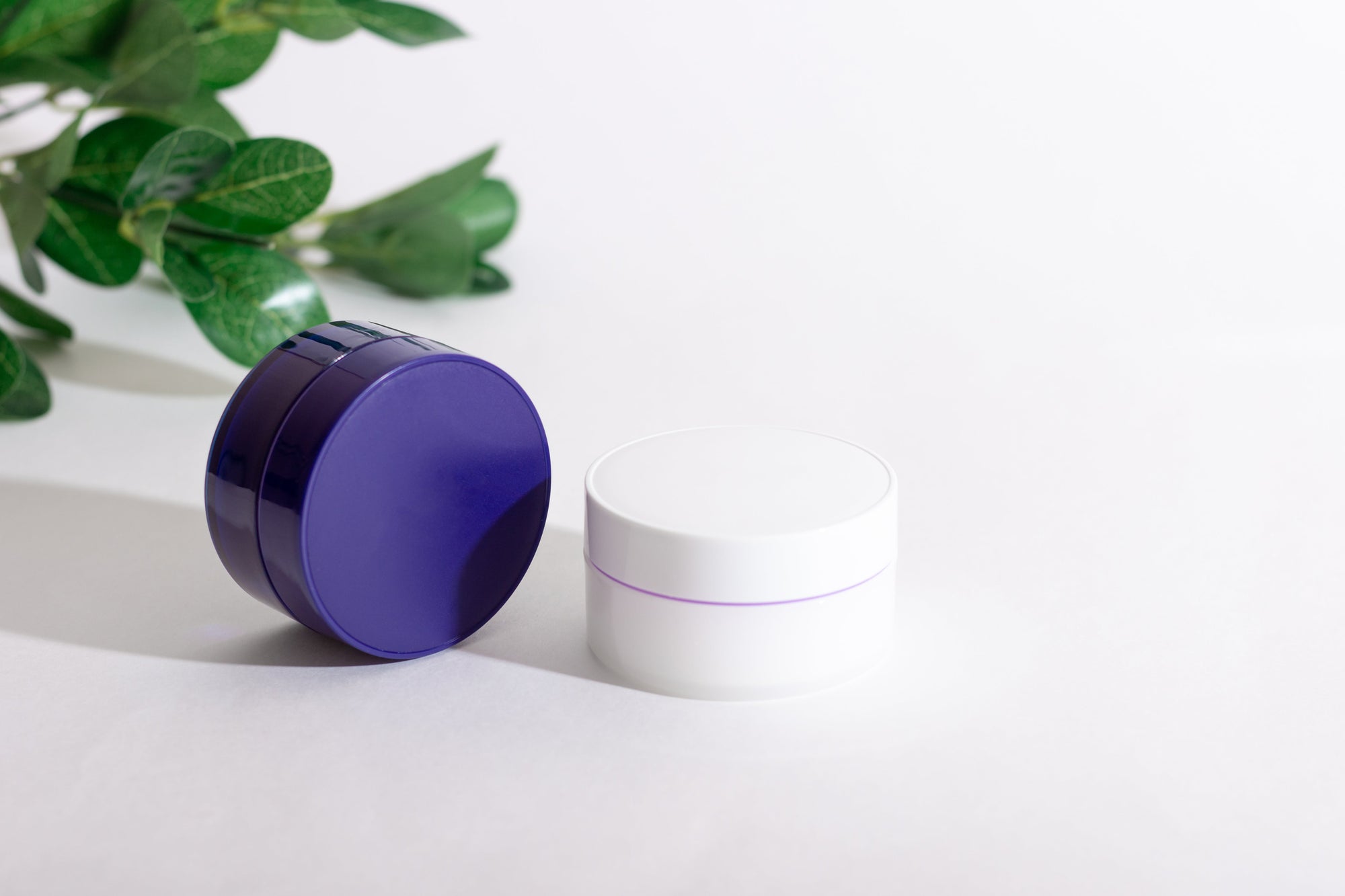 day and night moisturizer