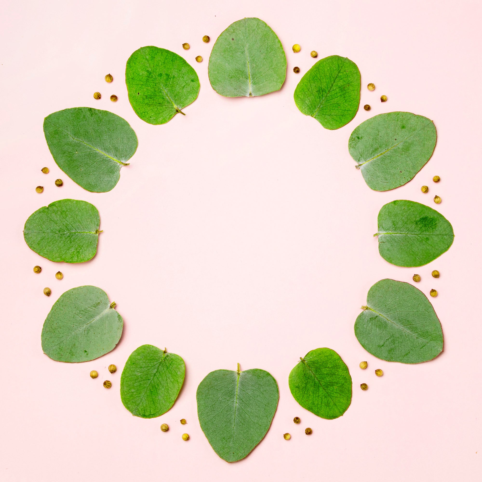 Best Calming Ingredients for Redness and Irritation