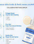 Collagen Peptide Serum For Skin Booster And Firming