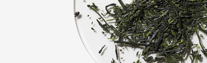 Green tea for antioxidant