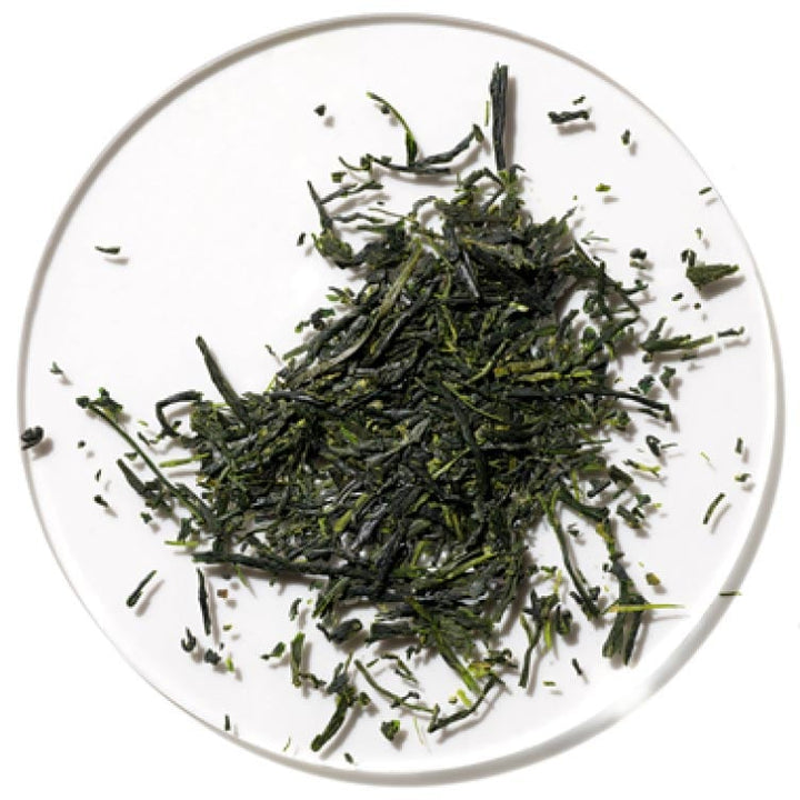 green tea for antioxidant