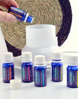 neutriherbs essential oils for energy